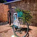 Sospiro Dell'etna Holiday home *